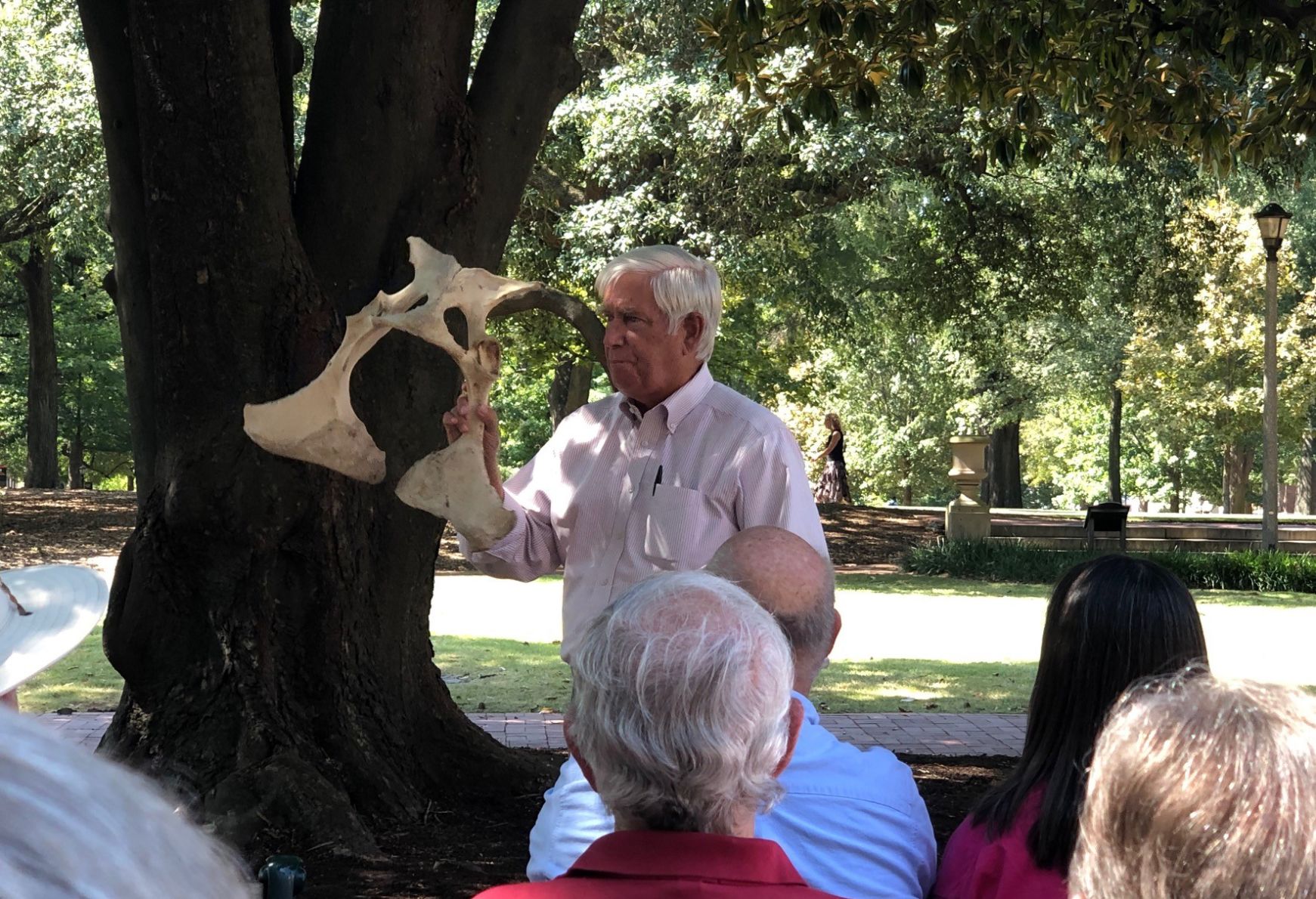 pelvis bone.jpg